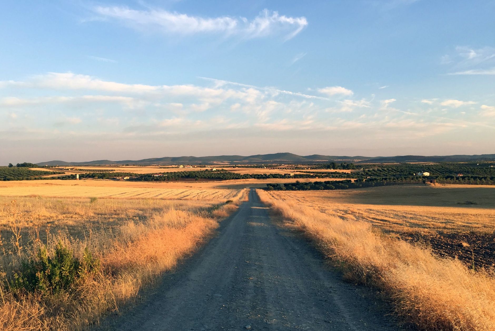 A tranquil dirt road under a blue sky, stretching through a countryside landscape in La Haba, Spain.