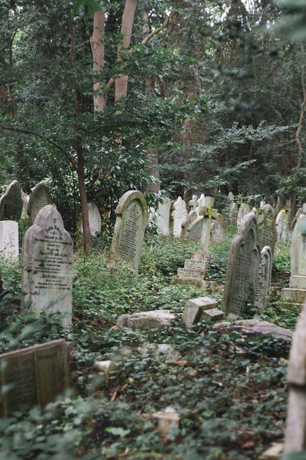 Spacious old graveyard with leaning ruined and mossy tombstones amidst lush green trees
