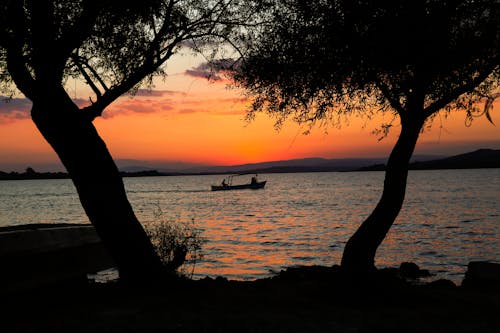 Silhouette of Trees with the Background of Boat on the Sea