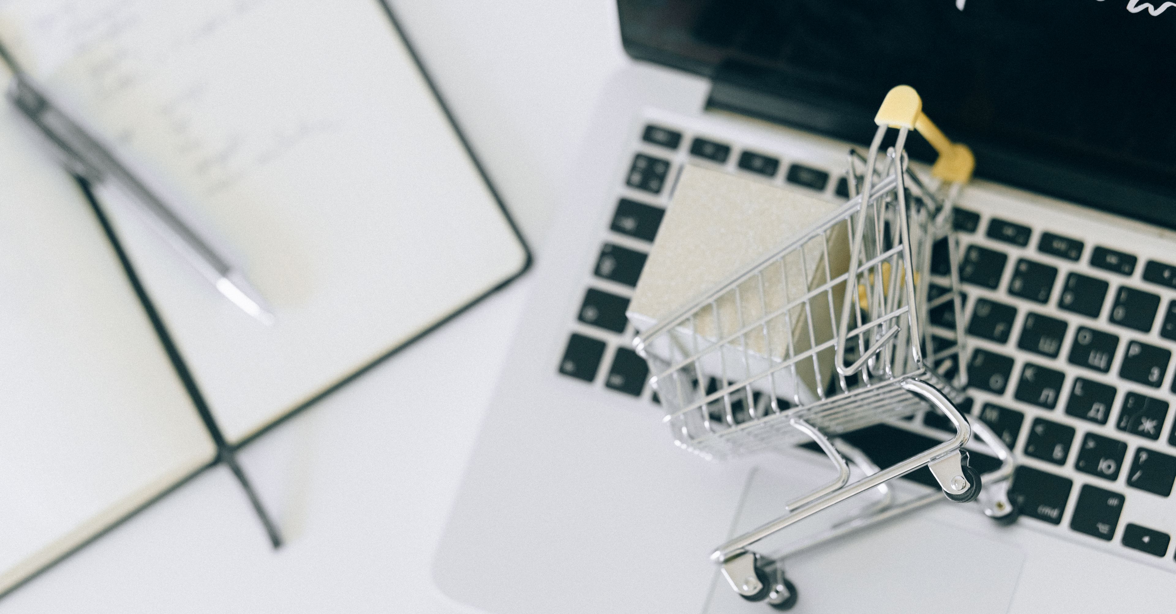 Zakupy online na laptopie