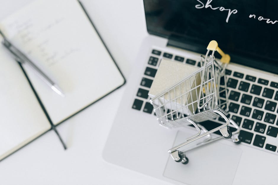 differences between a websites and an e-commerce