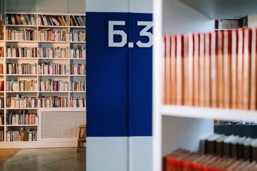 Interior of a Modern Library 