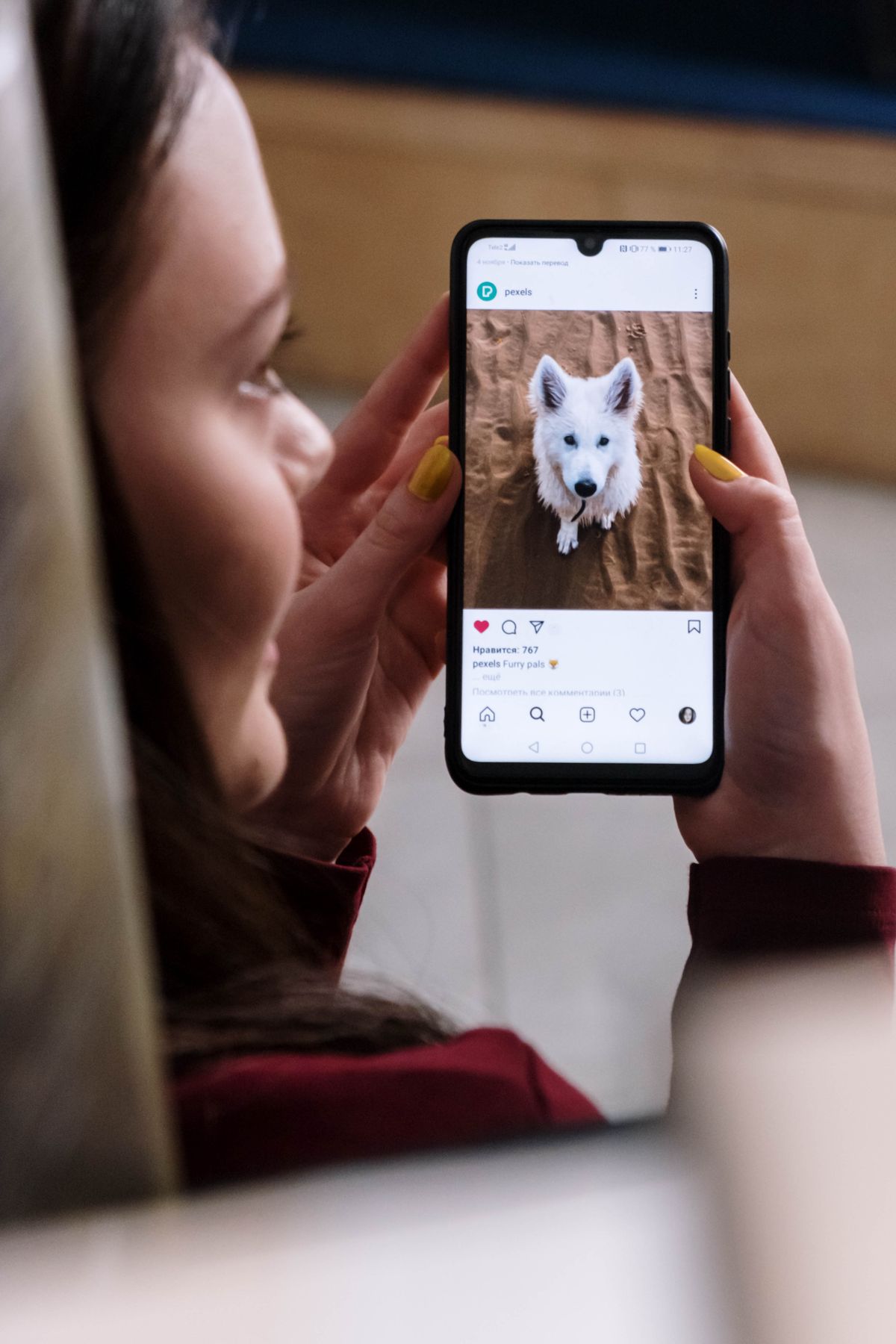 Socialization Windows: Why Timing Matters for Puppies