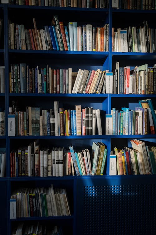 Books on the Bookshelf