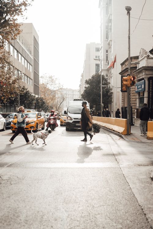Free Transport waiting for passing people in masks crossing asphalt road at crosswalk in city street Stock Photo
