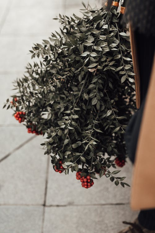 High angle of crop anonymous person with bunch with branches of rowan with red berries