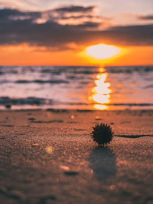 altın saat, deniz, deniz manzarası içeren Ücretsiz stok fotoğraf