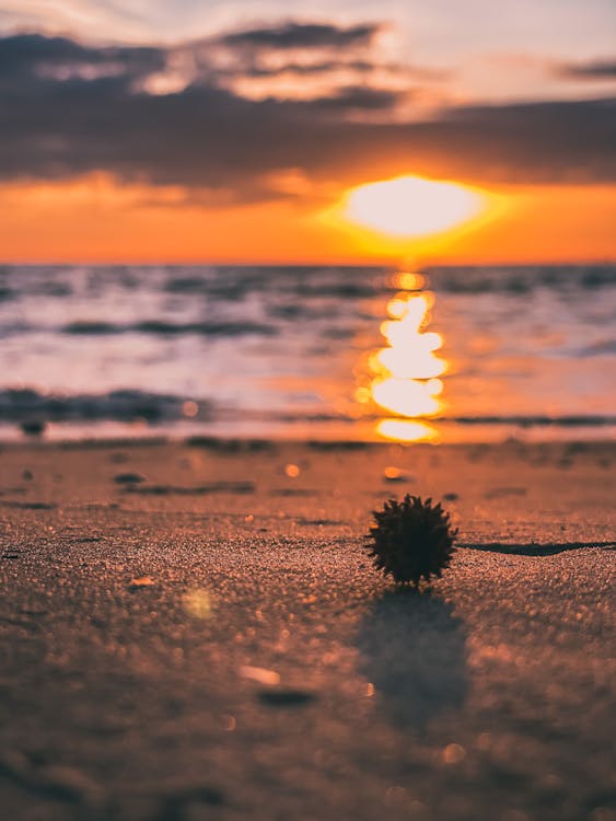 Ocean During Sunset