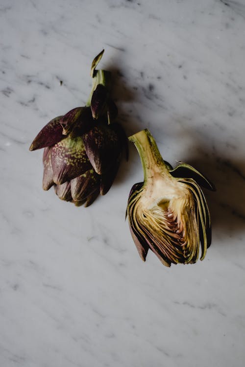 Capullo De Flor Morado Y Blanco