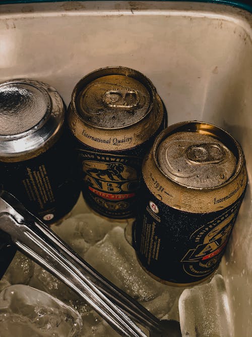 Free stock photo of beer, cold drink, ice