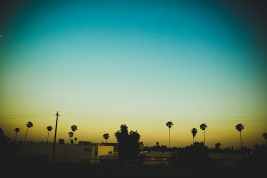 A vibrant California sunset featuring silhouetted palm trees against a colorful sky.