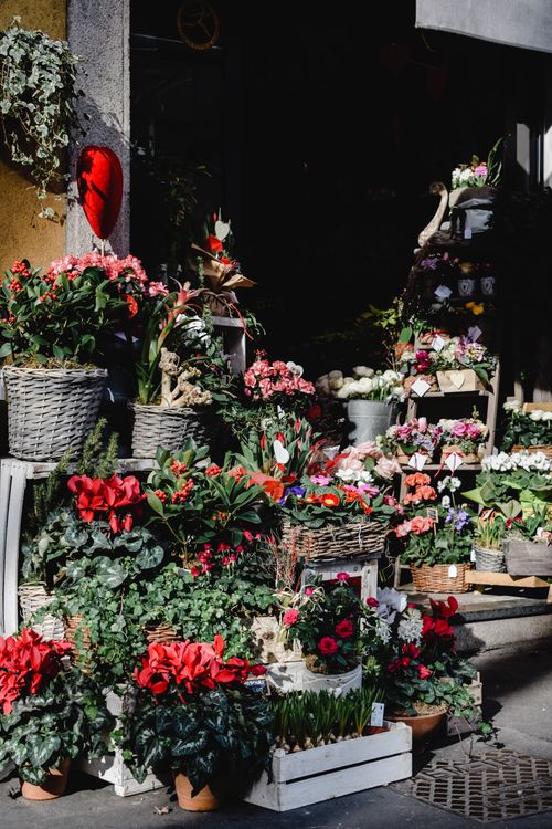 Free Colorful flower shop display in Milan, capturing vibrant bouquets and greenery in natural sunlight. Stock Photo