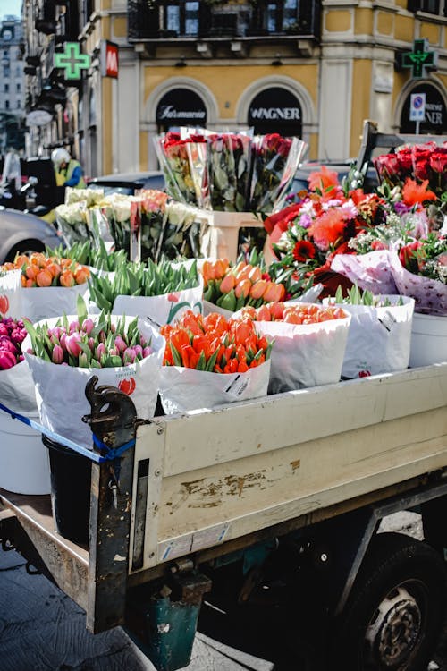 Free Assorted Flowers on the Back of a Truck Stock Photo