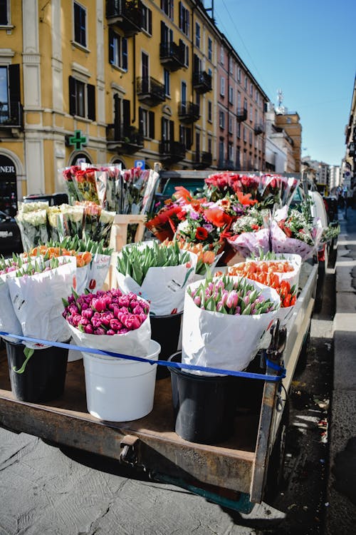 Free Assorted Flowers on the Back of a Truck Stock Photo