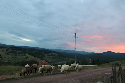 Fotobanka s bezplatnými fotkami na tému dedina, farma, modrá