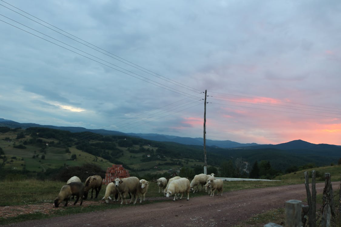 Kostnadsfri bild av blå, bondgård, by