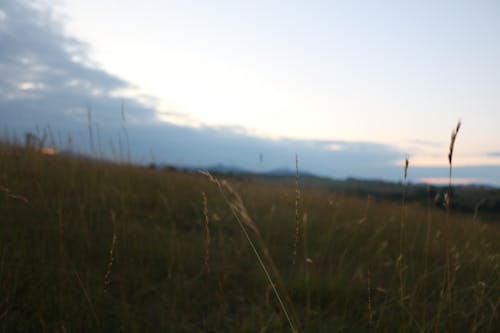 傍晚天空, 冷靜, 天性 的 免费素材图片