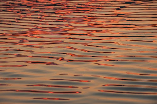 Body of Water During Sunset
