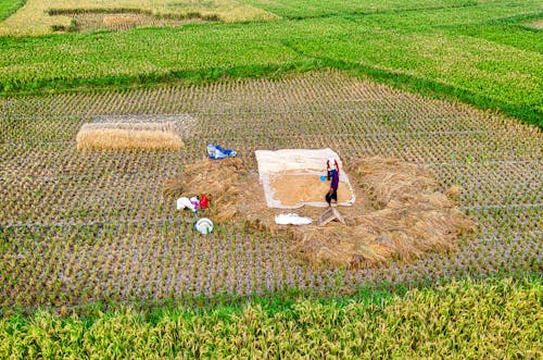 Foto stok gratis agrikultura, agronomi, bajak