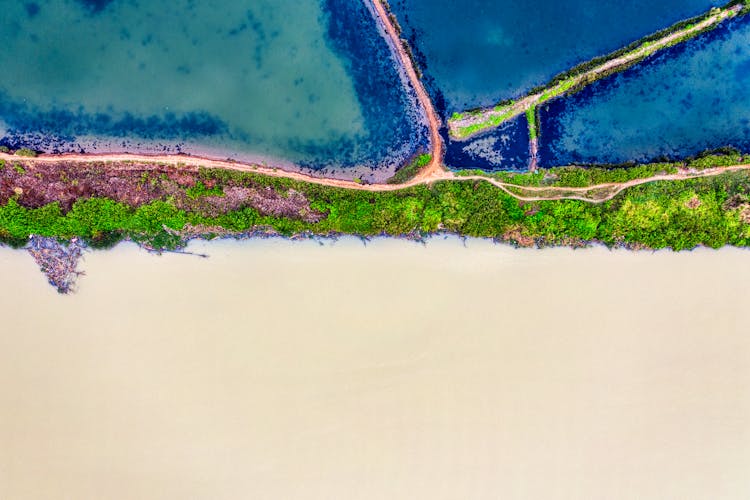 Coastline Of River With Dirty Water