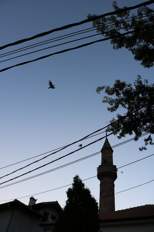 Foto profissional grátis de aldeia, atraente, calma