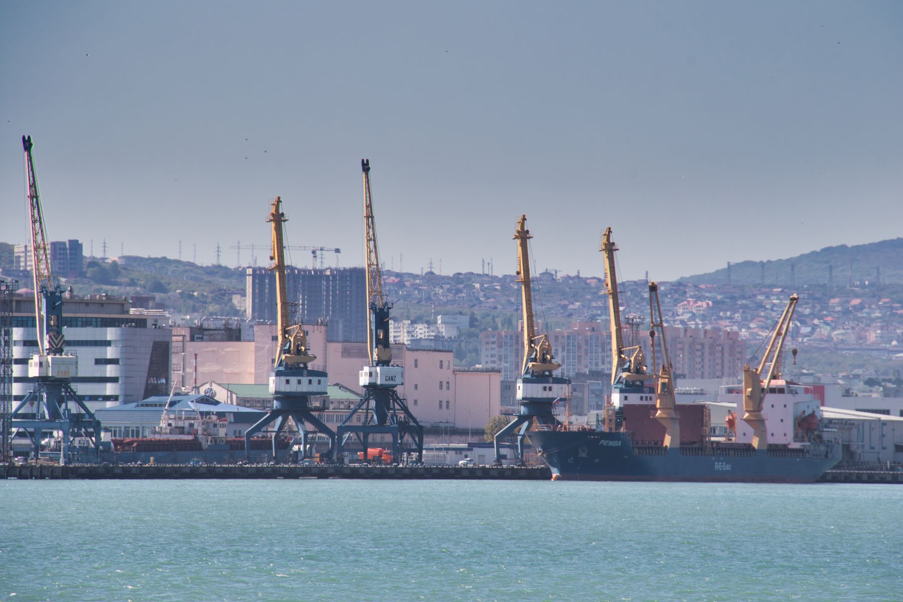 Heavy port cranes supporting specialized cargo operations