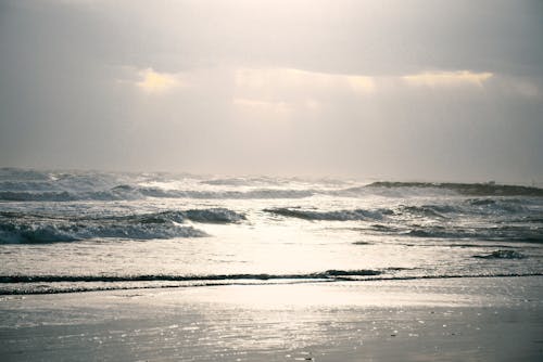 Waves Crashing on the Shore