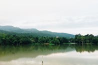 宁静的山景与湖景，平静的海水和郁郁葱葱的绿植