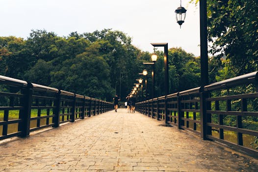 夏日公园里，一座有路灯的桥被树木环绕，风景如画