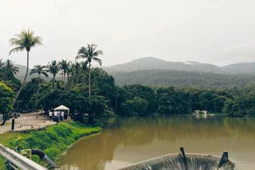 House Near Pond