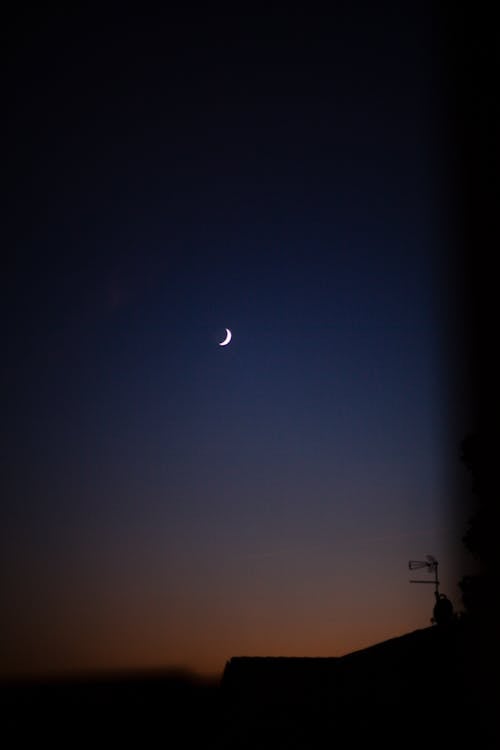 ฟรี คลังภาพถ่ายฟรี ของ กลางคืน, จันทรา, ซิลูเอตต์ คลังภาพถ่าย