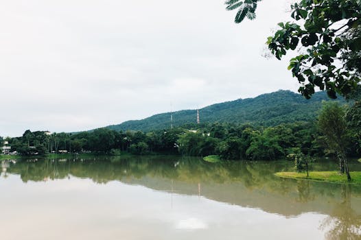 天空多云，宁静的湖泊和郁郁葱葱的山脉构成了一幅宁静的风景