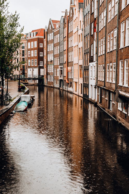 アムステルダム, オランダ, 垂直ショットの無料の写真素材
