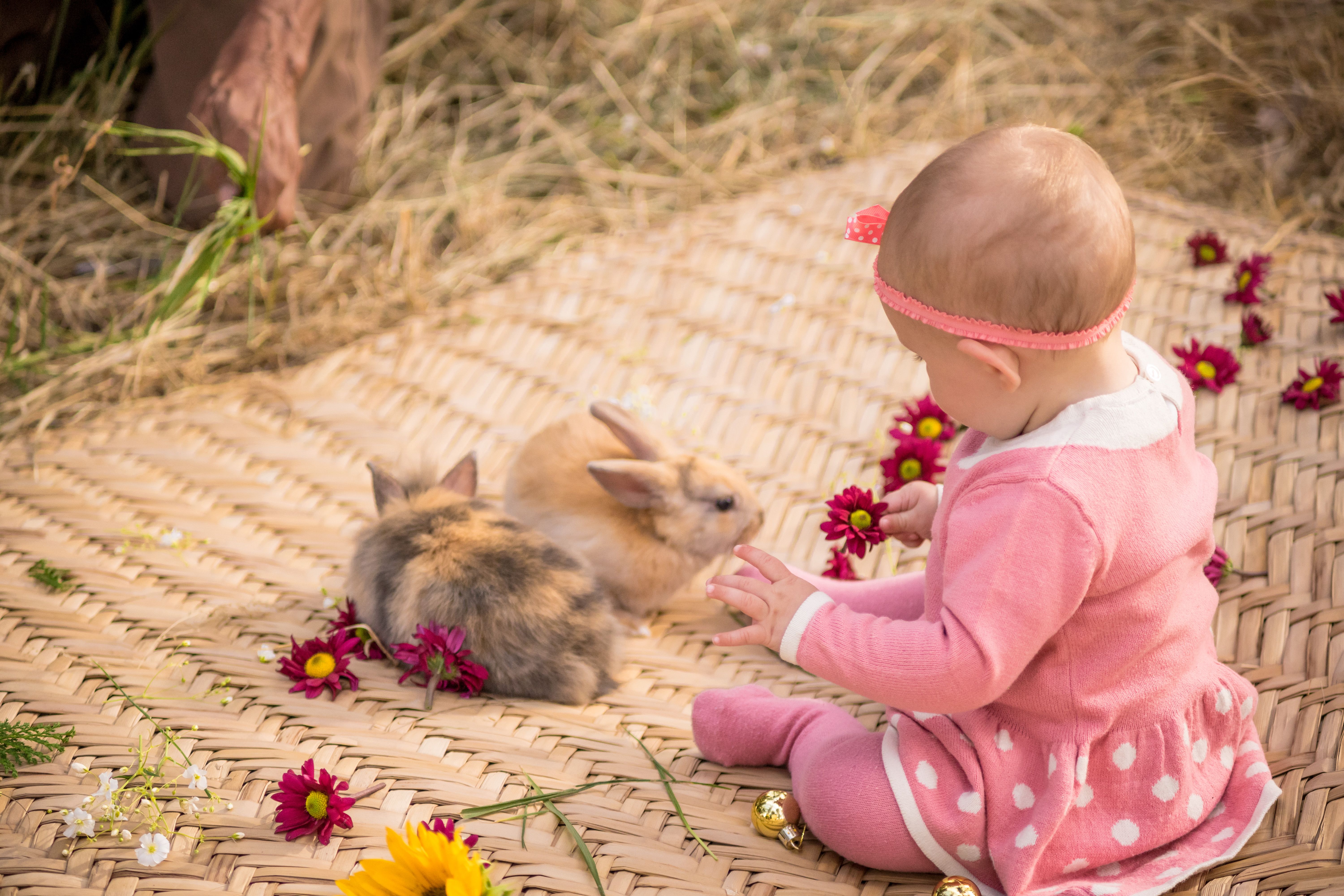 A baby girl in a pink dress interacting with rabbits and flowers on a wicker mat outdoors.