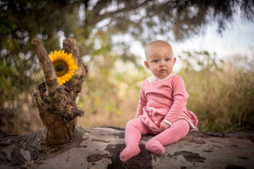 Baby Girl Sitting on Tree Trunk