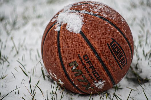 A close-up of a basketball resting on snow-covered grass, emblematic of winter outdoor sports.