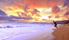 热闹的海滩上，美丽的日落中，人们享受着海浪，鸟儿在天空飞翔