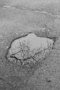 Reflection of a Leafless Tree on a Puddle