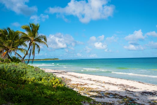 Explore the pristine shores of Tulum, Mexico with palm trees under a clear blue sky.