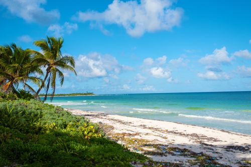 Free Explore the pristine shores of Tulum, Mexico with palm trees under a clear blue sky. Stock Photo