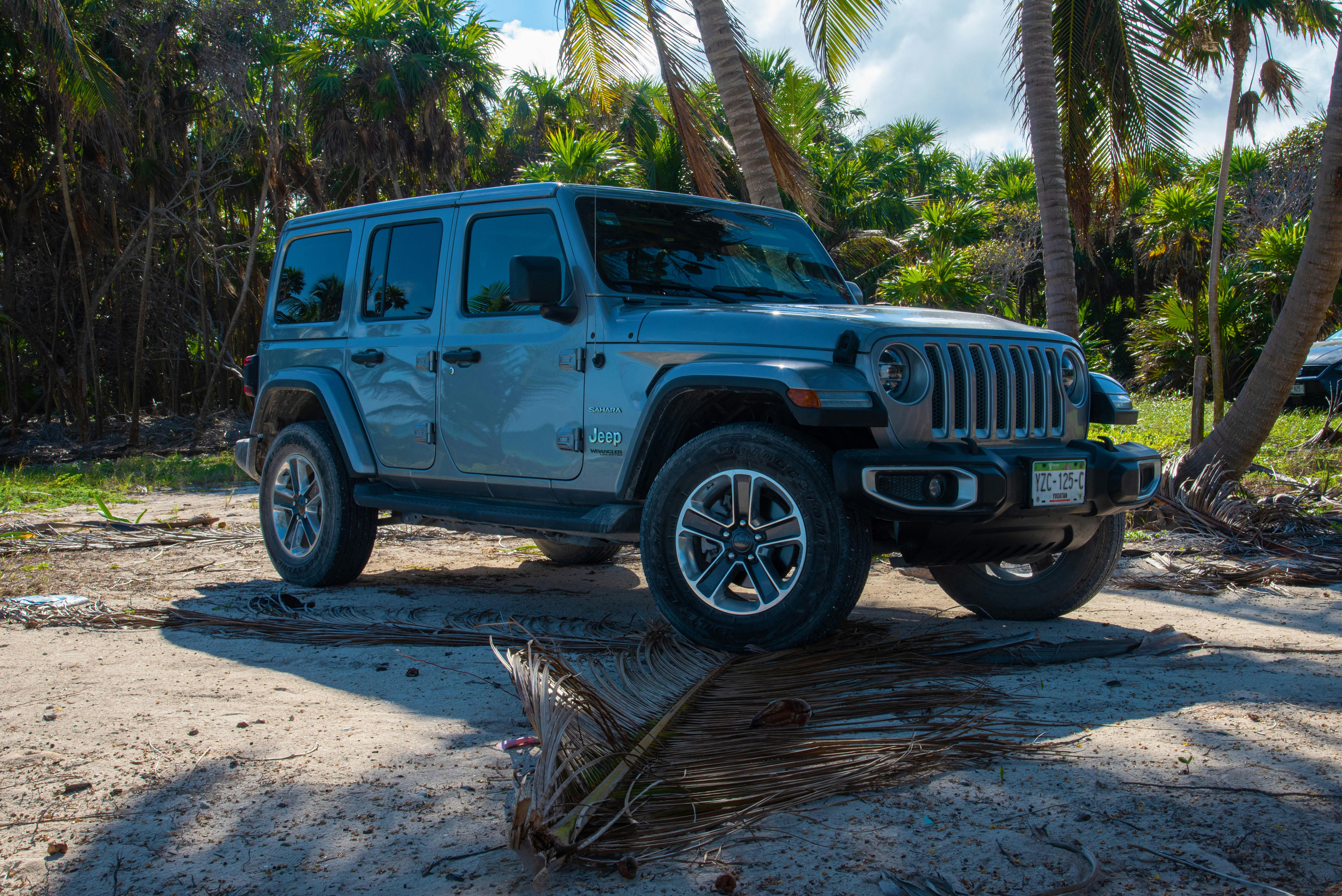 Contact us at Indigo Horizon Tours