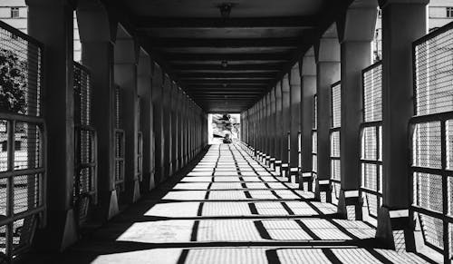 Black and White Photo of a Footbridge