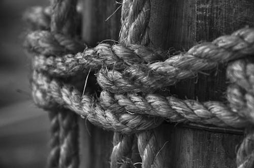 Free Grayscale Photo of Rope on Log Stock Photo
