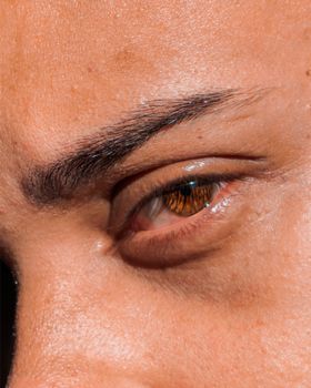 Detailed close-up of a human eye with focus on the brown iris and eyebrow.