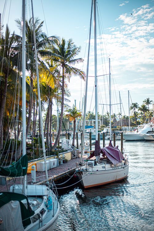 Free Peaceful marina with boats docked among lush palm trees under a clear sky. Stock Photo