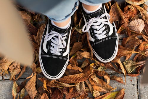 Black Vans Sneakers on Autumn Leaves