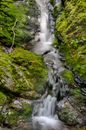 Water Flowing on Mossy Rocks