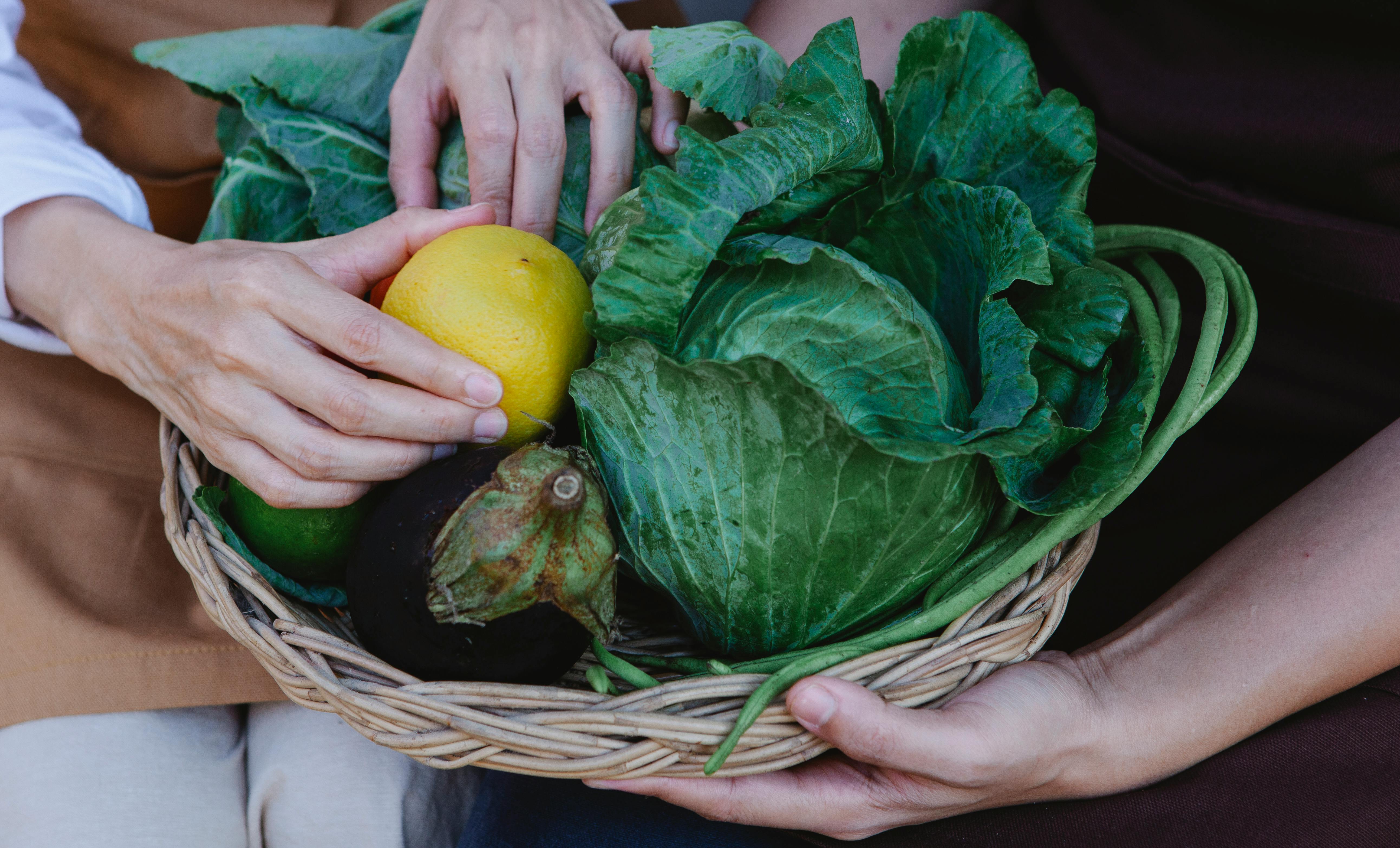 Impact of plant-based diets and associations with health, lifestyle and healthcare utilisation: a population-based survey stu