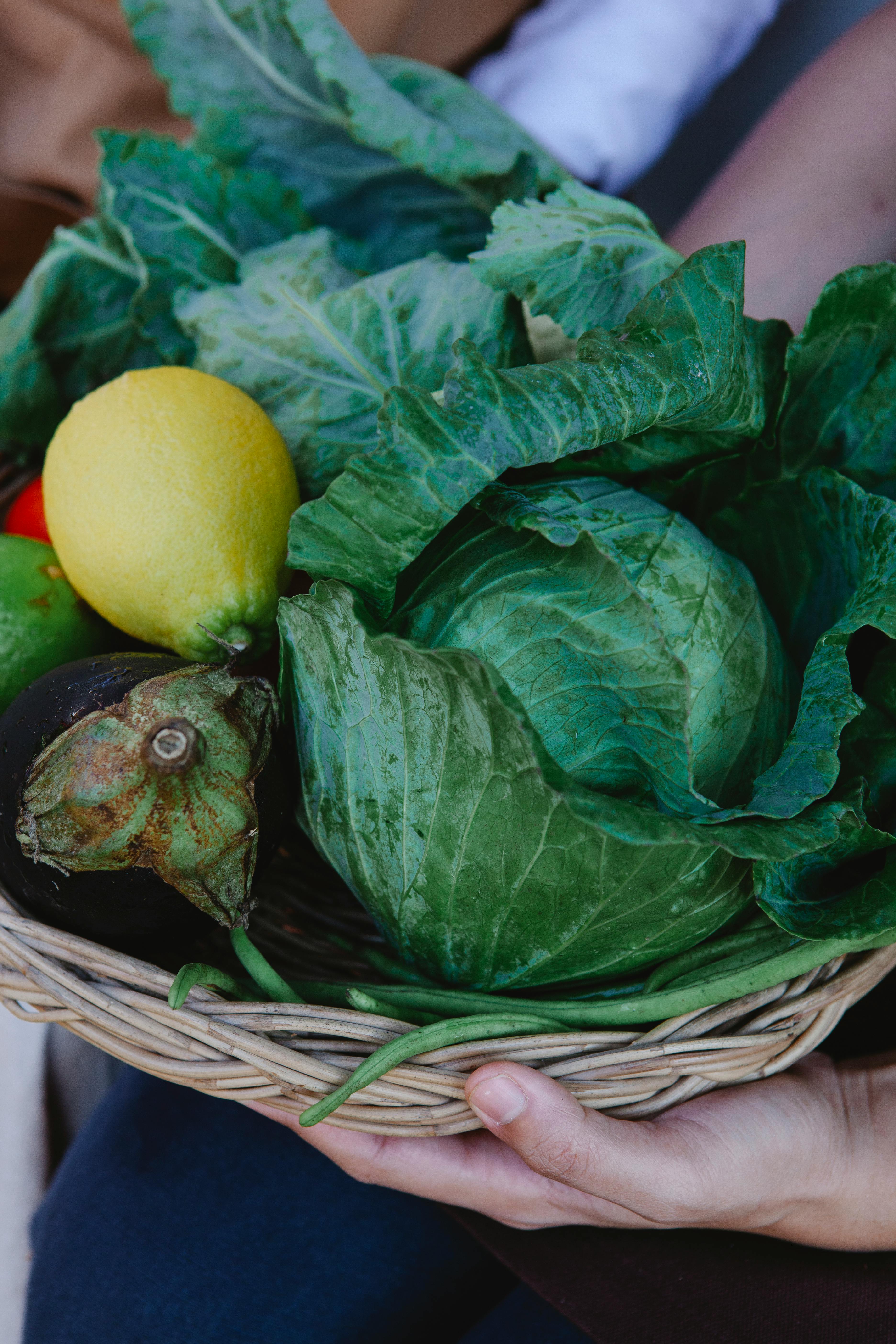 Close-up of a hand holding a basket filled with fresh organic cabbage, lemon, and eggplant.
