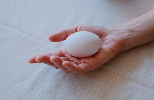 Free White Egg on a Person's Palm Stock Photo